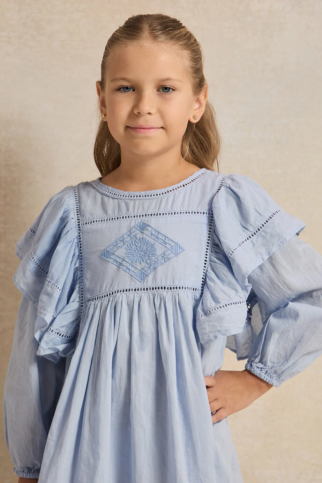 Girls Blue Embroidered Dress