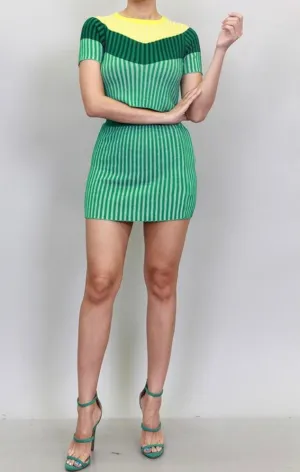 Lucky Stripe Knit Mini Skirt Set
